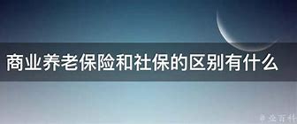 养老保险和社保是一回事吗