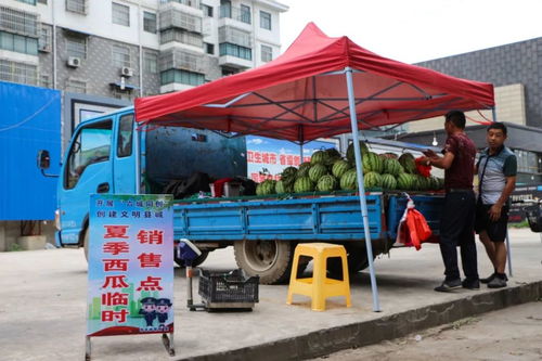 夫妻马路摆摊被劝离，城市治理与人性关怀的平衡