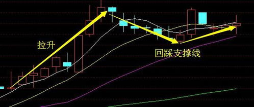 程序员炒股亏48万，一场数字与市场的博弈