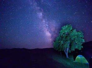 年度最大满月，夜空中的璀璨盛宴