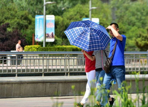 重庆高温假，炎炎夏日里的清凉福利