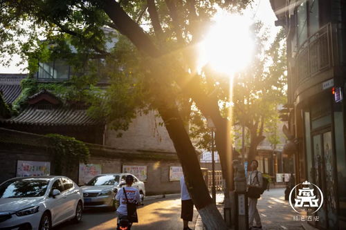 重庆高温假，炎炎夏日里的清凉福利