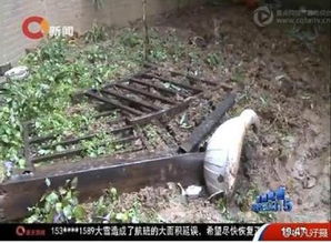 干部工作地坠楼身亡，一场突如其来的悲剧与反思