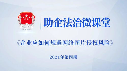 东莞市律师，法治社会的守护者与推动者