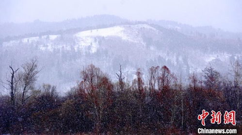 漠河积雪深度19厘米，探索中国最北端的冬日奇景