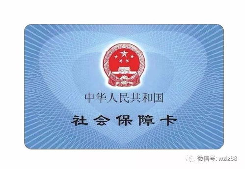 社保是什么意思，构建社会安全网的核心支柱