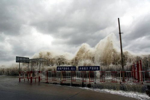 多地遭海水倒灌被淹，气候变化下的沿海城市挑战