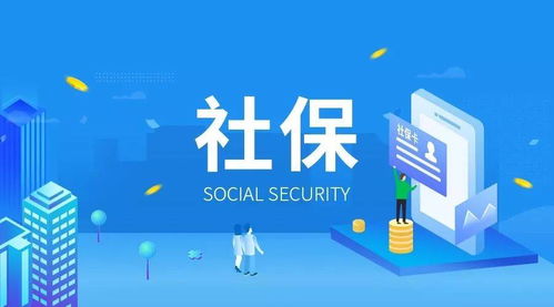 东莞社会保险，构建和谐社会的基石