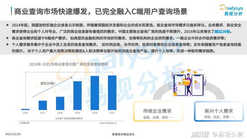 严查摆拍造谣谋私利，维护网络诚信与公共利益的基石