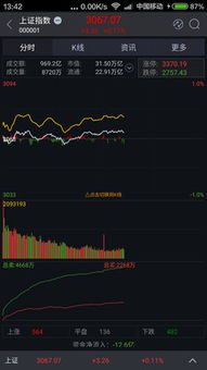 硕士炒股2周赚110万，智慧与风险的交响曲