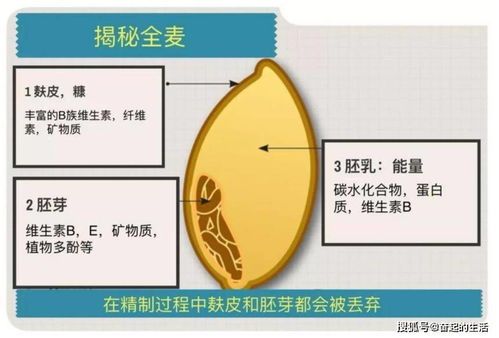 此类谷子不能吃，揭开谷物隐藏的奥秘与食品安全的重要性