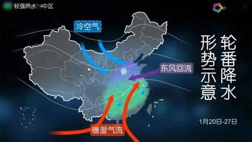 上海将迎最大降雨，城市如何应对极端天气挑战