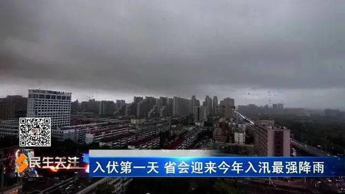 上海将迎最大降雨，城市如何应对极端天气挑战