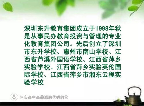 中学年薪50万聘教师，教育改革的先锋还是社会焦虑的缩影？