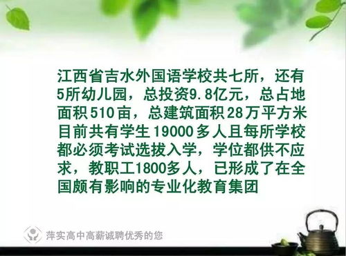 中学年薪50万聘教师，教育改革的先锋还是社会焦虑的缩影？