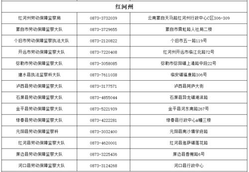 农民工工资表，保障劳动权益的基石