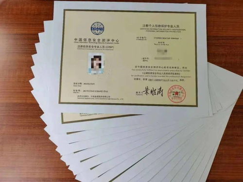 档案袋封条，守护信息安全的隐形卫士