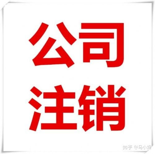 小规模公司注销费用详解