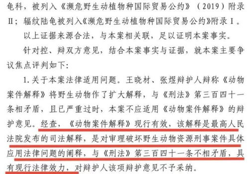 新刑诉法司法解释的出台及其影响