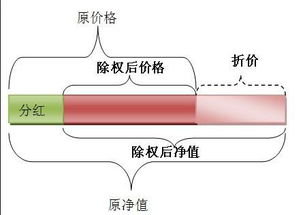 什么是除权日