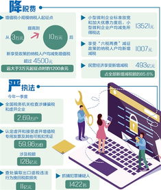 构建公平透明的税收体系