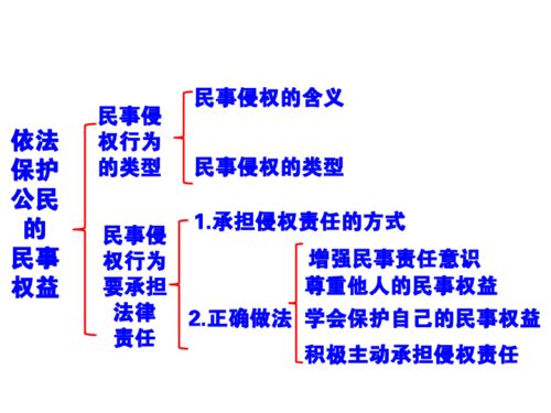 保护公民权益的法律利器