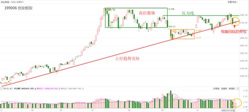 沪指3300点失而复得，市场波动背后的深层逻辑与未来展望