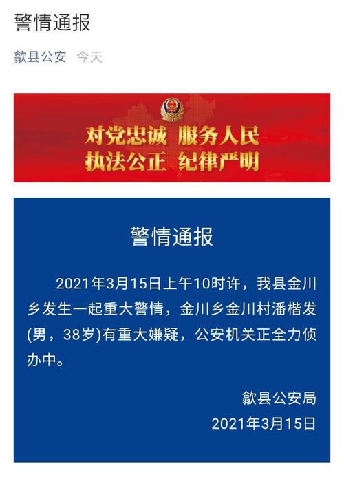 安徽一党委书记被杀事件的深度剖析与社会反思