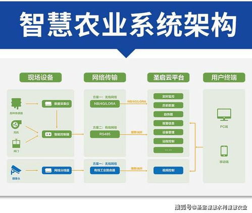 农村养老保险管理系统的阳光之路