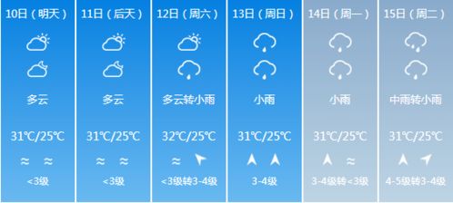 端午粽香飘，高速免费行