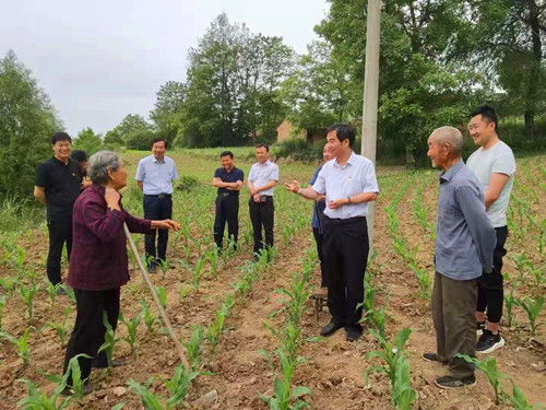 县委书记拆群众菜园，一场关于权力与民生的深刻反思