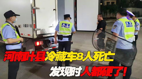 冷藏车厢内8人死亡，一场悲剧的警示与反思