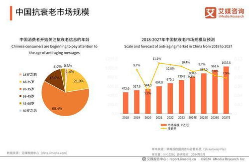 西安担保公司的现状与未来展望