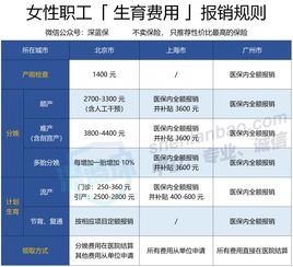 生育保险报销时间详解及实用指南