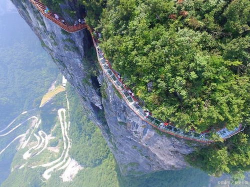 游客夜爬武夷山烧火，探索自然与文化的独特体验