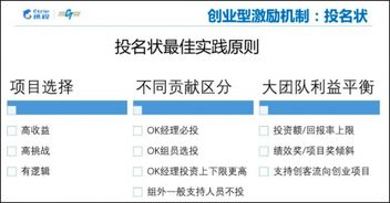 确保项目透明与高效的利器