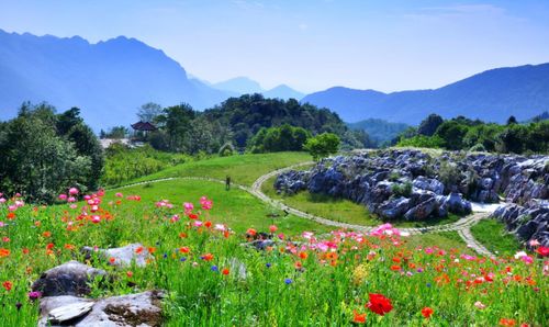 药王谷，一场悲剧的警示