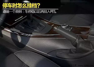 轻松掌握你的驾驶权利