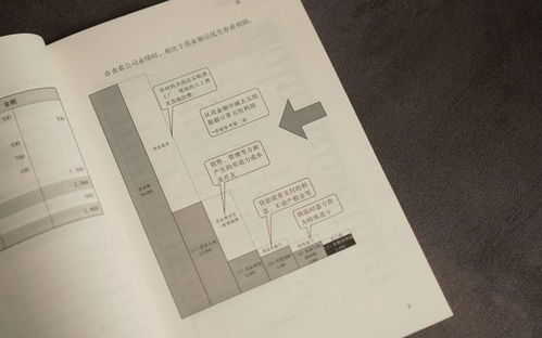 轻松掌握财务记录的艺术