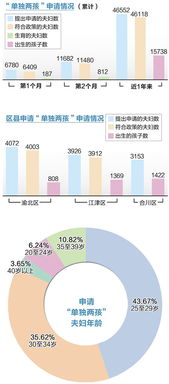 重庆单独两孩政策的实施与影响