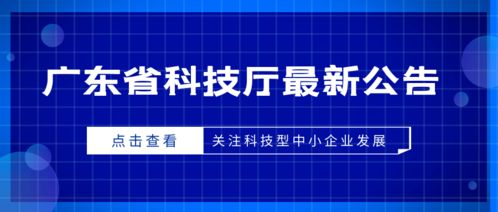 企业与个人的应对策略