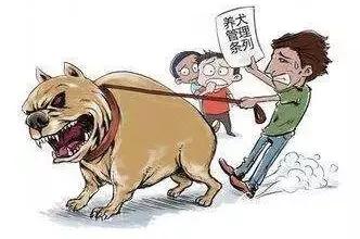 文明养犬，责任共担——杭州狗主人被刑拘事件引发的思考