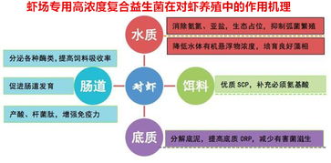 构建健康稳定的伴侣生活