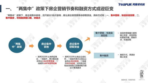 政策、影响与应对策略