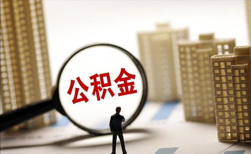 退休高工之家，智慧与经验的温馨港湾