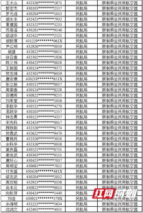 揭开失信人员名单查询系统的面纱——如何有效防范信用风险