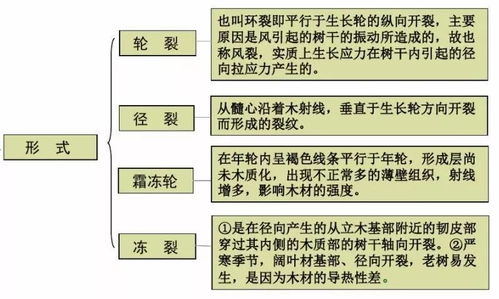 深入解读逃兵处理机制，理解、预防与应对