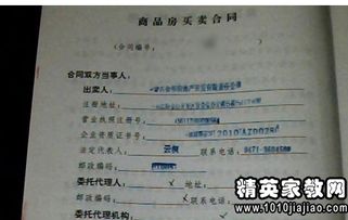 购房合同样本详解，轻松掌握房产交易中的关键条款