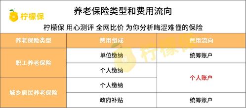 深入解析养老保险缴纳比例及其影响