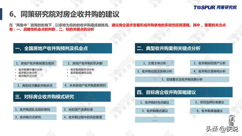 政策解析、影响与应对策略